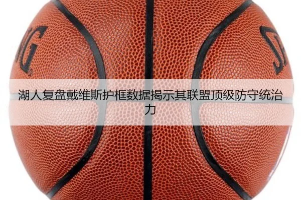湖人复盘戴维斯护框数据揭示其联盟顶级防守统治力
