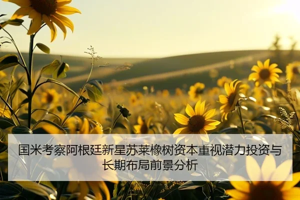 国米考察阿根廷新星苏莱橡树资本重视潜力投资与长期布局前景分析